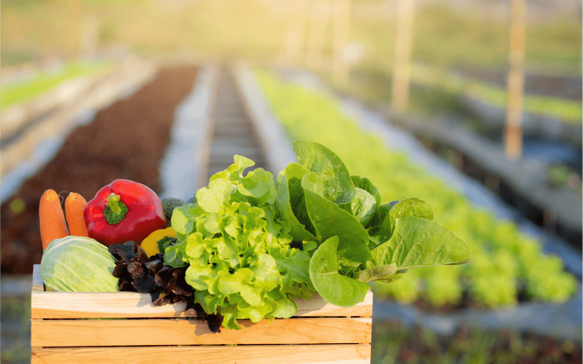 食マネジメント学科イメージ01